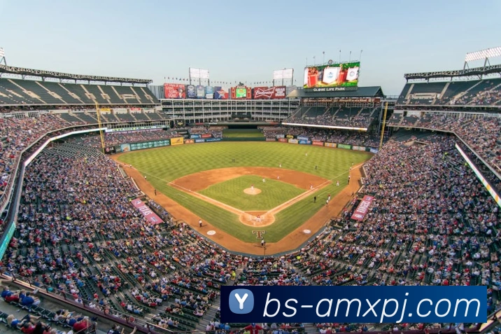 新葡京娱乐平台生态图